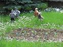 IMG_2555