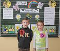 DSC00951